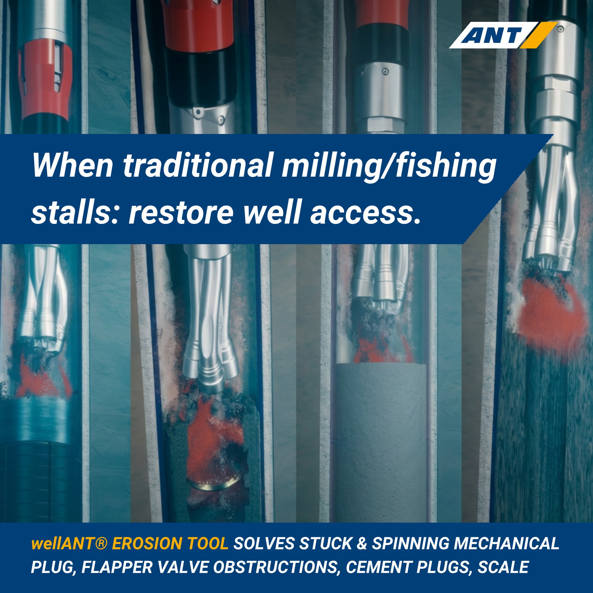 wellANT Creatives (2)